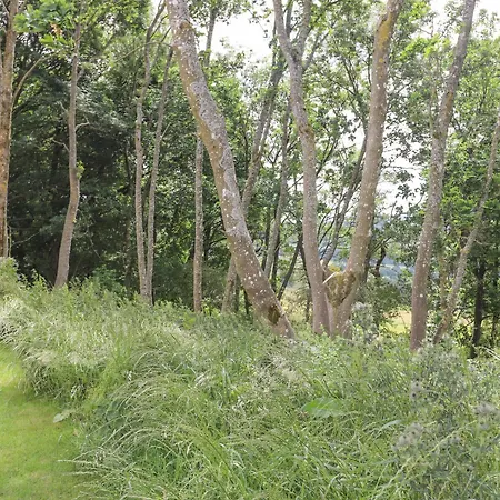 Holiday home Bluebell