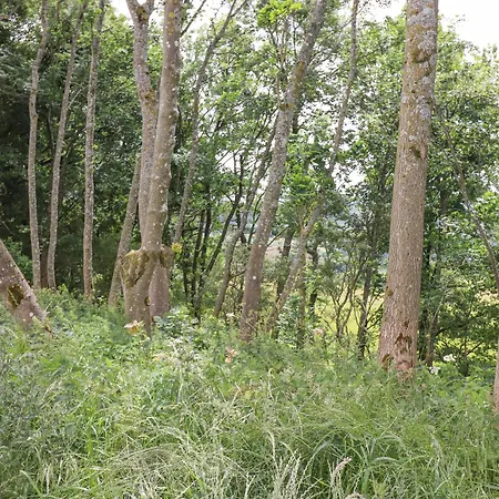 Bluebell Holiday home *